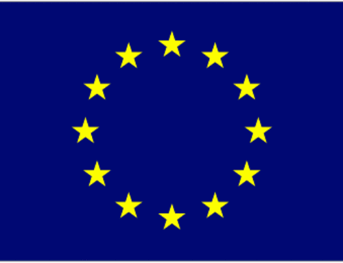 Conclusioni UE sui Diritti Umani e Lavori Decenti (2020)